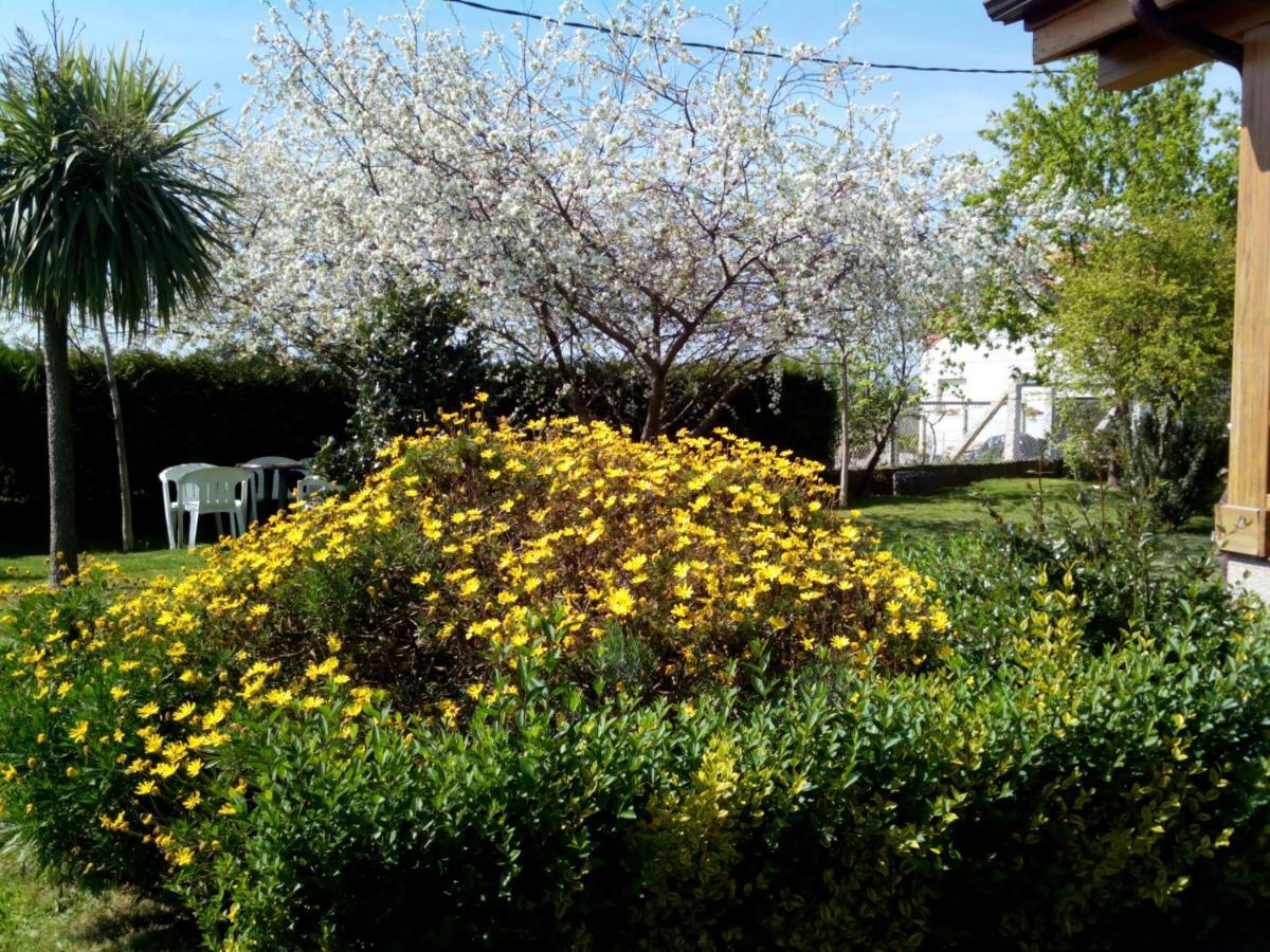 Mi Cabana Ribadumia Exterior foto