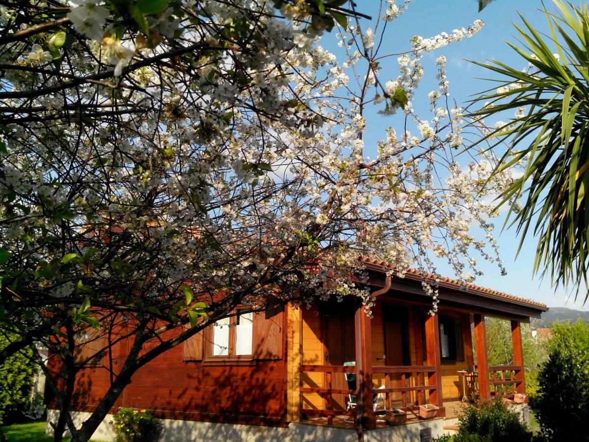 Mi Cabana Ribadumia Exterior foto
